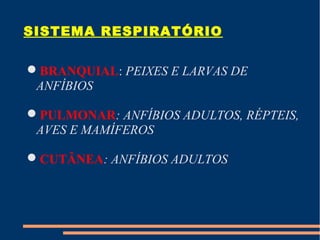SISTEMA RESPIRATÓRIO
BRANQUIAL: PEIXES E LARVAS DE
ANFÍBIOS
PULMONAR: ANFÍBIOS ADULTOS, RÉPTEIS,
AVES E MAMÍFEROS
CUTÂNEA: ANFÍBIOS ADULTOS
 