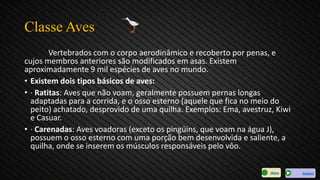 Classe Aves
Vertebrados com o corpo aerodinâmico e recoberto por penas, e
cujos membros anteriores são modificados em asas. Existem
aproximadamente 9 mil espécies de aves no mundo.
• Existem dois tipos básicos de aves:
• · Ratitas: Aves que não voam, geralmente possuem pernas longas
adaptadas para a corrida, e o osso esterno (aquele que fica no meio do
peito) achatado, desprovido de uma quilha. Exemplos: Ema, avestruz, Kiwi
e Casuar.
• · Carenadas: Aves voadoras (exceto os pingüins, que voam na água J),
possuem o osso esterno com uma porção bem desenvolvida e saliente, a
quilha, onde se inserem os músculos responsáveis pelo vôo.
AvançarMenu
 