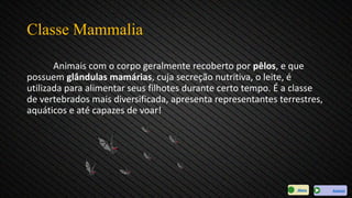 Classe Mammalia
Animais com o corpo geralmente recoberto por pêlos, e que
possuem glândulas mamárias, cuja secreção nutritiva, o leite, é
utilizada para alimentar seus filhotes durante certo tempo. É a classe
de vertebrados mais diversificada, apresenta representantes terrestres,
aquáticos e até capazes de voar!
AvançarMenu
 