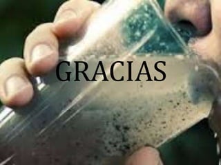 GRACIAS

 