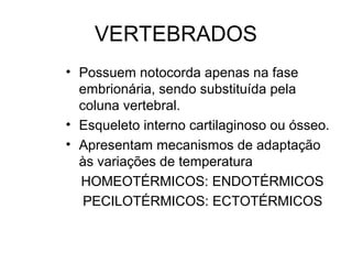 VERTEBRADOS
• Possuem notocorda apenas na fase
  embrionária, sendo substituída pela
  coluna vertebral.
• Esqueleto interno cartilaginoso ou ósseo.
• Apresentam mecanismos de adaptação
  às variações de temperatura
  HOMEOTÉRMICOS: ENDOTÉRMICOS
   PECILOTÉRMICOS: ECTOTÉRMICOS
 