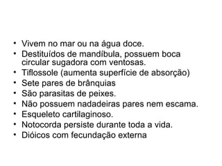 • Vivem no mar ou na água doce.
• Destituídos de mandíbula, possuem boca
  circular sugadora com ventosas.
• Tiflossole (aumenta superfície de absorção)
• Sete pares de brânquias
• São parasitas de peixes.
• Não possuem nadadeiras pares nem escama.
• Esqueleto cartilaginoso.
• Notocorda persiste durante toda a vida.
• Dióicos com fecundação externa
 