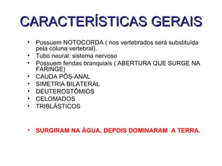 CARACTERÍSTICAS GERAIS
•   Possuem NOTOCORDA ( nos vertebrados será substituída
    pela coluna vertebral).
•   Tubo neural: sistema nervoso
•   Possuem fendas branquiais ( ABERTURA QUE SURGE NA
    FARINGE)
•   CAUDA PÓS-ANAL
•   SIMETRIA BILATERAL
•   DEUTEROSTÔMIOS
•   CELOMADOS
•   TRIBLÁSTICOS


•   SURGIRAM NA ÁGUA, DEPOIS DOMINARAM A TERRA.
 