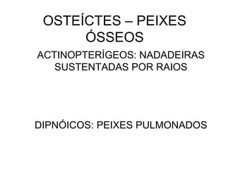 OSTEÍCTES – PEIXES
      ÓSSEOS
ACTINOPTERÍGEOS: NADADEIRAS
   SUSTENTADAS POR RAIOS




DIPNÓICOS: PEIXES PULMONADOS
 