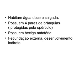 • Habitam água doce e salgada.
• Possuem 4 pares de brânquias
  ( protegidas pelo opérculo)
• Possuem bexiga natatória
• Fecundação externa, desenvolvimento
  indireto
 