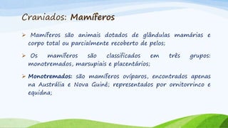 Craniados: Mamíferos
 Mamíferos são animais dotados de glândulas mamárias e
corpo total ou parcialmente recoberto de pelos;
 Os mamíferos são classificados em três grupos:
monotremados, marsupiais e placentários;
 Monotremados: são mamíferos ovíparos, encontrados apenas
na Austrália e Nova Guiné; representados por ornitorrinco e
equidna;
 