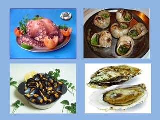 Filo dos moluscos   7º ano