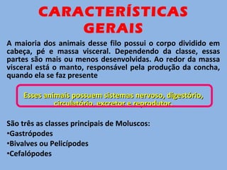 A maioria dos animais desse filo possui o corpo dividido em
cabeça, pé e massa visceral. Dependendo da classe, essas
partes são mais ou menos desenvolvidas. Ao redor da massa
visceral está o manto, responsável pela produção da concha,
quando ela se faz presente
Esses animais possuem sistemas nervoso, digestório,Esses animais possuem sistemas nervoso, digestório,
circulatório, excretor e reprodutor.circulatório, excretor e reprodutor.
São três as classes principais de Moluscos:
•Gastrópodes
•Bivalves ou Pelicípodes
•Cefalópodes
CARACTERÍSTICAS
GERAIS
 