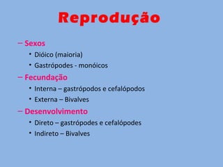 – Sexos
• Dióico (maioria)
• Gastrópodes - monóicos
– Fecundação
• Interna – gastrópodos e cefalópodos
• Externa – Bivalves
– Desenvolvimento
• Direto – gastrópodes e cefalópodes
• Indireto – Bivalves
Reprodução
 
