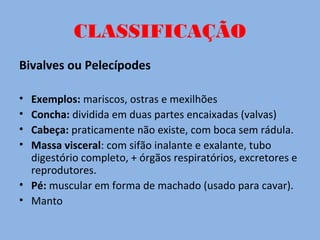 CLASSIFICAÇÃO
Bivalves ou Pelecípodes
• Exemplos: mariscos, ostras e mexilhões
• Concha: dividida em duas partes encaixadas (valvas)
• Cabeça: praticamente não existe, com boca sem rádula.
• Massa visceral: com sifão inalante e exalante, tubo
digestório completo, + órgãos respiratórios, excretores e
reprodutores.
• Pé: muscular em forma de machado (usado para cavar).
• Manto
 