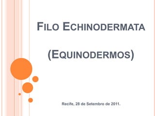 Filo Echinodermata(Equinodermos) Recife, 28 de Setembro de 2011. 