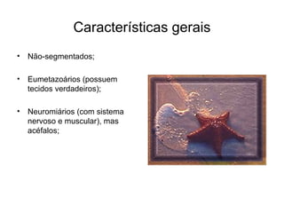 Características gerais
•   Não-segmentados;

•   Eumetazoários (possuem
    tecidos verdadeiros);

•   Neuromiários (com sistema
    nervoso e muscular), mas
    acéfalos;
 
