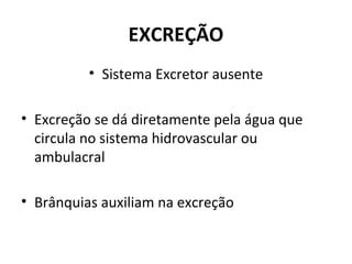 EXCREÇÃO
• Sistema Excretor ausente
• Excreção se dá diretamente pela água que
circula no sistema hidrovascular ou
ambulacral
• Brânquias auxiliam na excreção
 