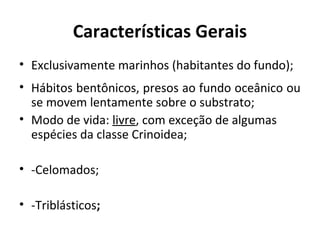 Características Gerais
• Exclusivamente marinhos (habitantes do fundo);
• Hábitos bentônicos, presos ao fundo oceânico ou
se movem lentamente sobre o substrato;
• Modo de vida: livre, com exceção de algumas
espécies da classe Crinoidea;
• -Celomados;
• -Triblásticos;
 