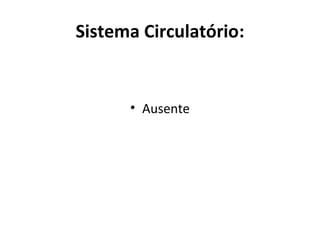 Sistema Circulatório:
• Ausente
 
