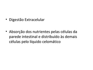 • Digestão Extracelular
• Absorção dos nutrientes pelas células da
parede intestinal e distribuído às demais
células pelo líquido celomático
 