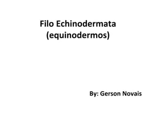Filo Echinodermata
(equinodermos)
By: Gerson Novais
 