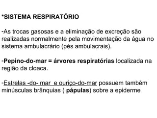 *SISTEMA RESPIRATÓRIO As trocas gasosas e a eliminação de excreção são realizadas normalmente pela movimentação da água no sistema ambulacrário (pés ambulacrais).  Pepino-do-mar = árvores respiratórias  localizada na região da cloaca.  Estrelas -do- mar  e ouriço-do-mar  possuem também minúsculas brânquias (  pápulas ) sobre a epiderme . 