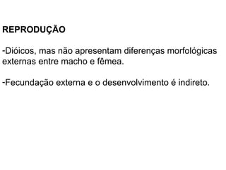 REPRODUÇÃO  Dióicos, mas não apresentam diferenças morfológicas externas entre macho e fêmea.  Fecundação externa e o desenvolvimento é indireto. 