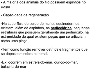 - A maioria dos animais do filo possuem espinhos no corpo - Capacidade de regeneração Na superfície do corpo de muitos equinodermos existem, além de espinhos, as  pedicelárias : pequenas estruturas que possuem geralmente um pedúnculo, na extremidade do qual existem peças que se articulam como uma pinça.  Tem como função remover detritos e fragmentos que se depositem sobre o animal. Ex: ocorrem em estrela-do-mar, ouriço-do-mar, bolacha-do-mar 