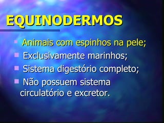 EQUINODERMOS
 Animais com espinhos na pele;
 Exclusivamente marinhos;
 Sistema digestório completo;
 Não possuem sistema
 circulatório e excretor.
 