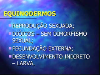 EQUINODERMOS
  REPRODUÇÃO  SEXUADA;
  DIÓICOS – SEM DIMORFISMO
   SEXUAL;
  FECUNDAÇÃO EXTERNA;
  DESENVOLVIMENTO INDIRETO
   – LARVA.
 