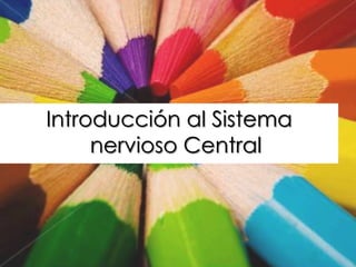 Introducción al Sistema
     nervioso Central
 