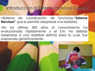 Introducción al Sistema nervioso Central

•Sistema de coordinación de funciones,“Sistema
Nervioso” que le permite adaptarse a la realidad.
•En los últimos 300 años el conocimiento ha
evolucionado rápidamente y el S.N. ha debido
adaptarse a una realidad distinta para la cual, fue
preparada genéticamente.
 