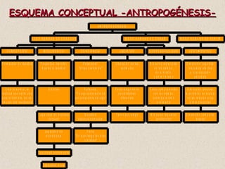 ESQUEMA CONCEPTUAL -ANTROPOGÉNESIS- 