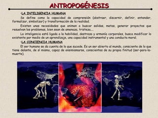ANTROPOGÉNESIS LA INTELIGENCIA HUMANA Se define como la capacidad de comprensión (abstraer, discernir, definir, entender, formalizar, simbolizar) y transformación de la realidad. Existen unas necesidades que animan a buscar salidas, metas, generar proyectos que resuelvan los problemas, bien sean de amenaza, tristeza.... La inteligencia está ligada a la habilidad, destreza y armonía corporales, busca modificar lo existente por medio de un aprendizaje, una capacidad instrumental y una conducta moral. LA CONCIENCIA HUMANA El ser humano se da cuenta de lo que sucede. Es un ser abierto al mundo, consciente de lo que tiene delante, de sí mismo, capaz de ensimismarse, conscientes de su propia finitud (ser-para-la-muerte). 