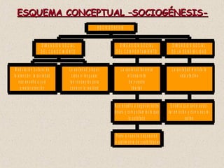 ESQUEMA CONCEPTUAL –SOCIOGÉNESIS- 