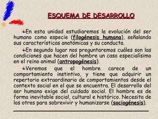 ESQUEMA DE DESARROLLO En esta unidad estudiaremos la evolución del ser humano como especie ( filogénesis humana ), señalando sus características anatómicas y su conducta.  En segundo lugar nos preguntaremos cuáles son las condiciones que hacen del hombre un caso especialísimo en el reino animal ( antropogénesis ). Veremos que el hombre carece de un comportamiento instintivo, y tiene que adquirir un repertorio extraordinario de comportamientos desde el contexto social en el que se encuentra. El desarrollo del ser humano exige del cuidado social. El hombre es de forma inevitable social, cultural e histórico. Necesita de los otros para sobrevivir y humanizarse ( sociogénesis ). 