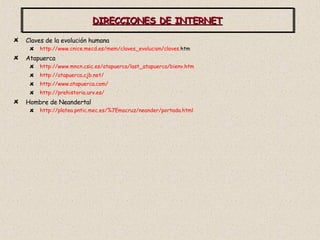 DIRECCIONES DE INTERNET Claves de la evolución humana http:// www . cnice . mecd .es/ mem /claves_ evolucion /claves. htm   Atapuerca http:// www . mncn . csic .es/ atapuerca / last _ atapuerca / bienv . htm http:// atapuerca . cjb . net / http:// www . atapuerca . com / http://prehistoria. urv .es/ Hombre de Neandertal http://platea. pntic . mec .es/%7Emacruz/ neander /portada. html 
