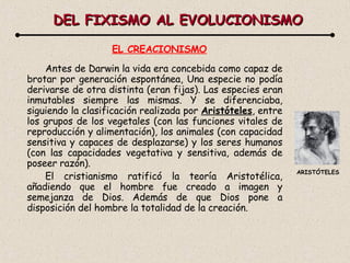 DEL FIXISMO AL EVOLUCIONISMO EL CREACIONISMO Antes de Darwin la vida era concebida como capaz de brotar por generación espontánea, Una especie no podía derivarse de otra distinta (eran fijas). Las especies eran inmutables siempre las mismas. Y se diferenciaba, siguiendo la clasificación realizada por  Aristóteles , entre los grupos de los vegetales (con las funciones vitales de reproducción y alimentación), los animales (con capacidad sensitiva y capaces de desplazarse) y los seres humanos (con las capacidades vegetativa y sensitiva, además de poseer razón). El cristianismo ratificó la teoría Aristotélica, añadiendo que el hombre fue creado a imagen y semejanza de Dios. Además de que Dios pone a disposición del hombre la totalidad de la creación. ARISTÓTELES 