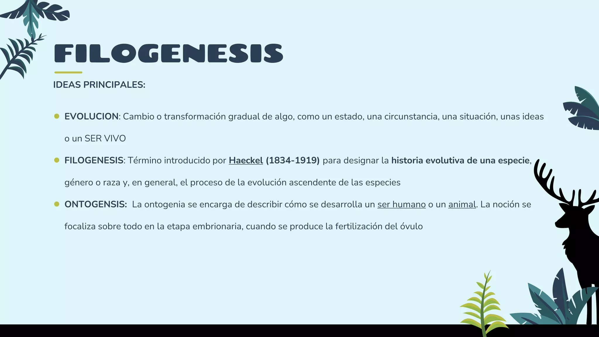 FILOGENESIS CLASE 4.pptx