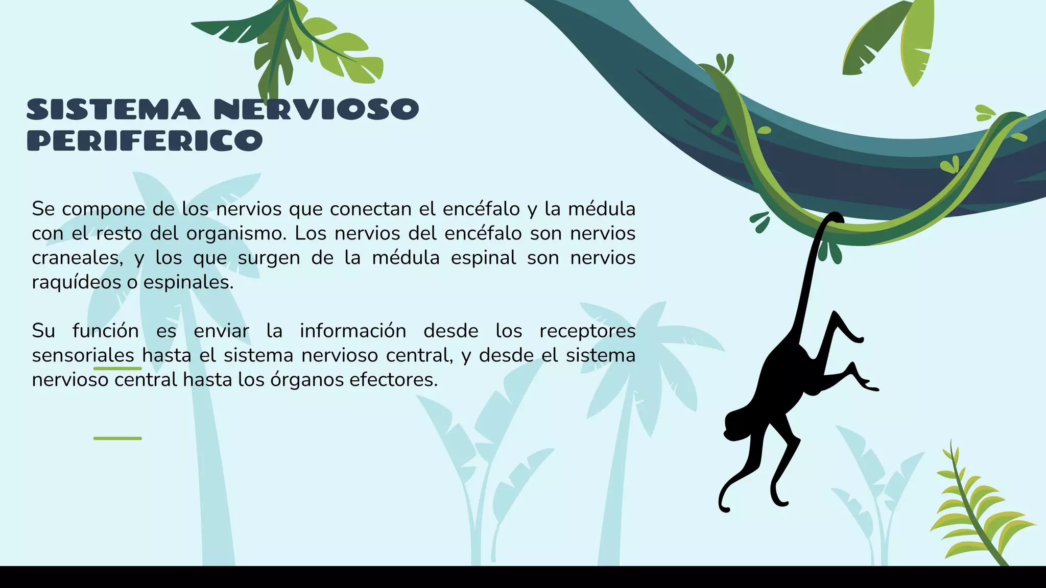 FILOGENESIS CLASE 4.pptx