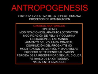 Genesis del ser humano | PPT