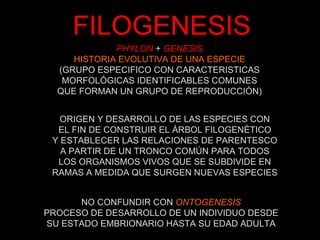 Genesis del ser humano | PPT