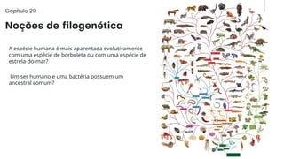 A espécie humana é mais aparentada evolutivamente
com uma espécie de borboleta ou com uma espécie de
estrela-do-mar?
Um ser humano e uma bactéria possuem um
ancestral comum?
 
