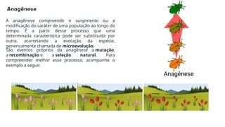 A anagênese compreende o surgimento ou a
modificação do caráter de uma população ao longo do
tempo. É a partir desse processo que uma
determinada característica pode ser substituída por
outra, acarretando a evolução da espécie,
genericamente chamada de microevolução.
São eventos próprios da anagênese a mutação,
a recombinação e a seleção natural. Para
compreender melhor esse processo, acompanhe o
exemplo a seguir.
 