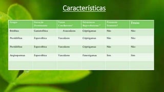 Características
 