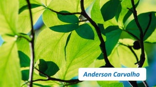 Anderson Carvalho
 
