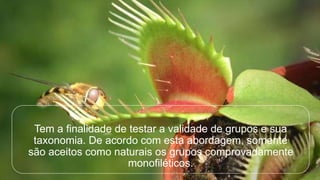 Tem a finalidade de testar a validade de grupos e sua
taxonomia. De acordo com esta abordagem, somente
são aceitos como naturais os grupos comprovadamente
monofiléticos.
 