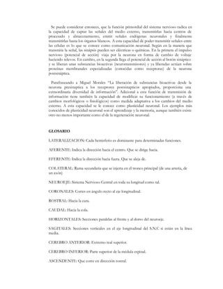 Se puede considerar entonces, que la función primordial del sistema nervioso radica en
la capacidad de captar las señales del medio externo, transmitirlas hacia centros de
procesado y almacenamiento, emitir señales endógenas neuronales y finalmente
transmitirlas hasta los órganos blancos. A esta capacidad de poder transmitir señales entre
las células es lo que se conoce como comunicación neuronal. Según en la manera que
transmita la señal, las sinápsis pueden ser eléctricas o químicas. En la primera el impulso
nervioso (potencial de acción) viaja por la neurona en forma de cambio de voltaje
haciendo relevos. En cambio, en la segunda llega el potencial de acción al botón sináptico
y se liberan unas substancias bioactivas (neurotransmisores) y ya liberadas actúan sobre
proteínas membranales especializadas (conocidas como receptoras) de la neurona
postsináptica.

  Parafraseando a Miguel Morales ´La liberación de substancias bioactivas desde la
neurona presinaptica a los receptores postsinapticos apropiados, proporciona una
extraordinaria diversidad de informaciónµ. Adicional a esta función de transmisión de
información tiene también la capacidad de modificar su funcionamiento (a través de
cambios morfológicos o fisiológicos) como medida adaptativa a los cambios del medio
externo. A esta capacidad se le conoce como plasticidad neuronal. Los ejemplos más
conocidos de plasticidad neuronal son el aprendizaje y la memoria, aunque también existe
otro no menos importante como el de la regeneración neuronal.


GLOSARIO

LATERALIZACION: Cada hemisferio es dominante para determinadas funciones.

AFERENTE: Indica la dirección hacia el centro. Que se dirige hacia.

EFERENTE: Indica la dirección hacia fuera. Que se aleja de.

COLATERAL: Rama secundaria que se injerta en el tronco principal (de una arteria, de
un axón)

NEUROEJE: Sistema Nervioso Central en toda su longitud como tal.

CORONALES: Cortes en ángulo recto al eje longitudinal.

ROSTRAL: Hacia la cara.

CAUDAL: Hacia la cola.

HORIZONTALES: Secciones paralelas al frente y al dorso del neuroeje.

SAGITALES: Secciones verticales en el eje longitudinal del S.N.C si están en la línea
media.

CEREBRO ANTERIOR: Extremo real superior.

CEREBRO INFERIOR: Parte superior de la médula espinal.

ASCENDENTE: Que corre en dirección rostral.
 