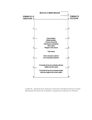 £¢¡  
 C a     #1 Apa
           ¥¤   ©¨¦§¦¢                       ¦ ¦          
                       de los elementos const t t vos del istema Nervioso Central
relacionando las semanas de concepción y de gestación ( sada por los obstetras)
                                                       
 
