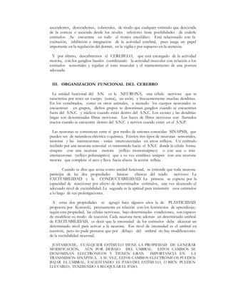ascendentes, descendentes, colaterales, de modo que cualquier estímulo que descienda
de la corteza o ascienda desde los niveles inferiores tiene posibilidades de cederle
estímulos. Se encuentra en todo el tronco encefálico. Está relacionado con la
excitación, inhibición e integración de la actividad cerebral, pues juega un papel
importante en la regulación del dormir, en la vigilia y por supuesto en la atención.

 Y por último, describiremos el CEREBELO, que está encargado de la actividad
motora, con los ganglios basales coordinando la actividad muscular con relación a los
estímulos sensoriales y regulan el tono muscular y el mantenimiento de una postura
adecuada.


 III. ORGANIZACION FUNCIONAL DEL CEREBRO

  La unidad funcional del S.N. es la NEURONA, una célula nerviosa que se
caracteriza por tener un cuerpo (soma), un axón, y frecuentemente muchas dendritas.
En los vertebrados, como en otros animales, a menudo los cuerpos neuronales se
encuentran en grupos, dichos grupos se denominan ganglios cuando se encuentran
fuera del S.N.C. y núcleos cuando están dentro del S.N.C. Los axones y las dendritas
largas son denominadas fibras nerviosas. Los haces de fibras nerviosas son llamados
tractos cuando se encuentra dentro del S.N.C y nervios cuando están en el S.N.P.

  Las neuronas se comunican entre sí por medio de uniones conocidas SINAPSIS, que
pueden ser de naturaleza eléctrica o química. Existen tres tipos de neuronas sensoriales,
motoras y las interneuronas - están interconectadas en arcos reflejos. Un estímulo
recibido por una neurona sensorial es transmitido hacia el S.N.C donde la célula forma
sinapsis con una neurona motora (reflejo monosináptico) o con una o más
interneuronas (reflejo polisináptico) que a su vez establece sinápsis con una neurona
motora que completa el arco y lleva hacia afuera la acción refleja.

         Cuando se dice que actúa como unidad funcional, se entiende que toda neurona
participa de las dos propiedades        básicas    clásicas del tejido     nervioso: La
EXCITABILIDAD y la CONDUCTABILIDAD. La primera se expresa por la
capacidad de reaccionar por efecto de determinados estímulos, una vez alcanzado el
adecuado nivel de excitabilidad. La segunda es la aptitud para transmitir esos estímulos
a lo largo de sus prolongaciones.

  A estas dos propiedades se agregó hace algunos años la de PLASTICIDAD
propuesta por Konorski, precisamente en relación con los fenómenos de aprendizaje;
según esta propiedad, las células nerviosas, bajo determinadas condiciones, son capaces
de modificar su modo de reacción. Cada neurona tiene además un determinado umbral
de EXCITABILIDAD, es decir que la intensidad de los estímulos debe alcanzar un
determinado nivel para activar a la neurona. Ese nivel de intensidad es el umbral en
cuestión, pero no pude pensarse que por debajo del umbral no hay modificaciones
de la excitabilidad neuronal.

 JUSTAMENTE, CUALQUIER ESTÍMULO TIENE LA PROPIEDAD DE GENERAR
MODIFICACIÓN, AÚN POR DEBAJO DEL UMBRAL. ESTOS CAMBIOS SE
DENOMINAN ELECTRÓNICOS Y TIENEN GRAN           IMPORTANCIA EN   LA
TRANSMISIÓN SINÁPTICA. A SU VEZ, ESTOS CAMBIOS ELECTRÓNICOS PUEDEN
BAJAR EL UMBRAL, FACILITANDO EL PASO DEL ESTÍMULO, O BIEN PUEDEN
LLEVARLO, TENDIENDO A BLOQUEAR EL PASO.
 
