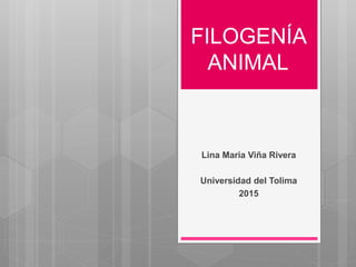 FILOGENÍA
ANIMAL
Lina Maria Viña Rivera
Universidad del Tolima
2015
 