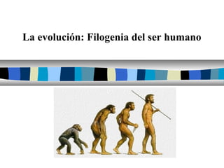 La evolución: Filogenia del ser humano

Filogenia de ser humano

 