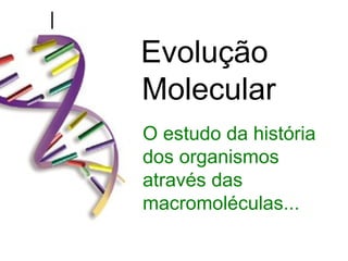 Evolução
Molecular
O estudo da história
dos organismos
através das
macromoléculas...
 