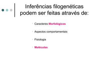Inferências filogenéticas
podem ser feitas através de:
    • Caracteres Morfológicos

    • Aspectos comportamentais

    • Fisiologia

    • Moléculas
 